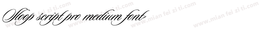 Sloop script pro medium font字体转换